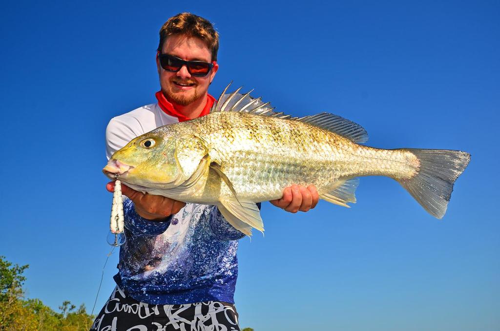 How's that for a grunter on a hardbody!  This 60cm grunter mistook the Fysshe Teemburra lure for a herring. © Lee Brake